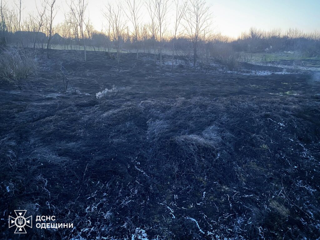 Збитки від пожеж в Одеській області за тиждень перевищили сім мільйонів