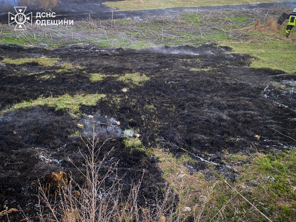 Збитки від пожеж в Одеській області за тиждень перевищили сім мільйонів