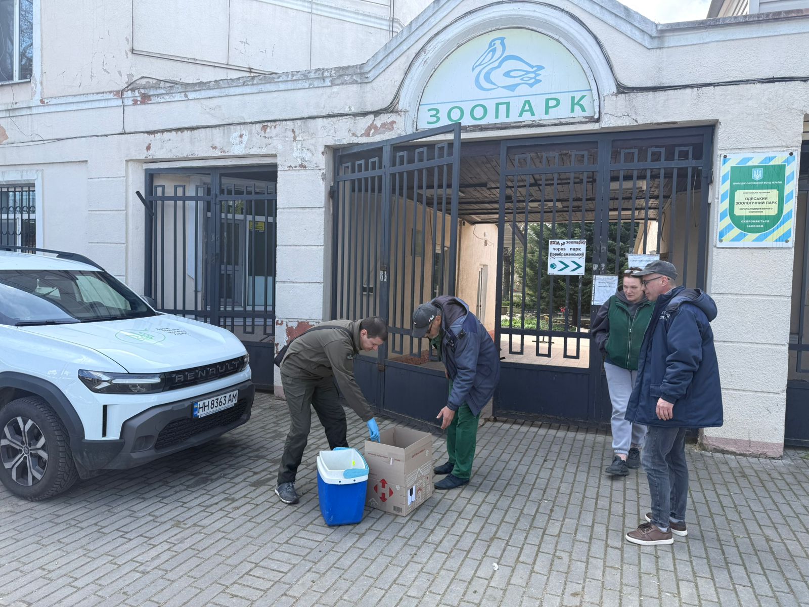 На узбережжі Чорного моря знов зафіксовано забруднення олією