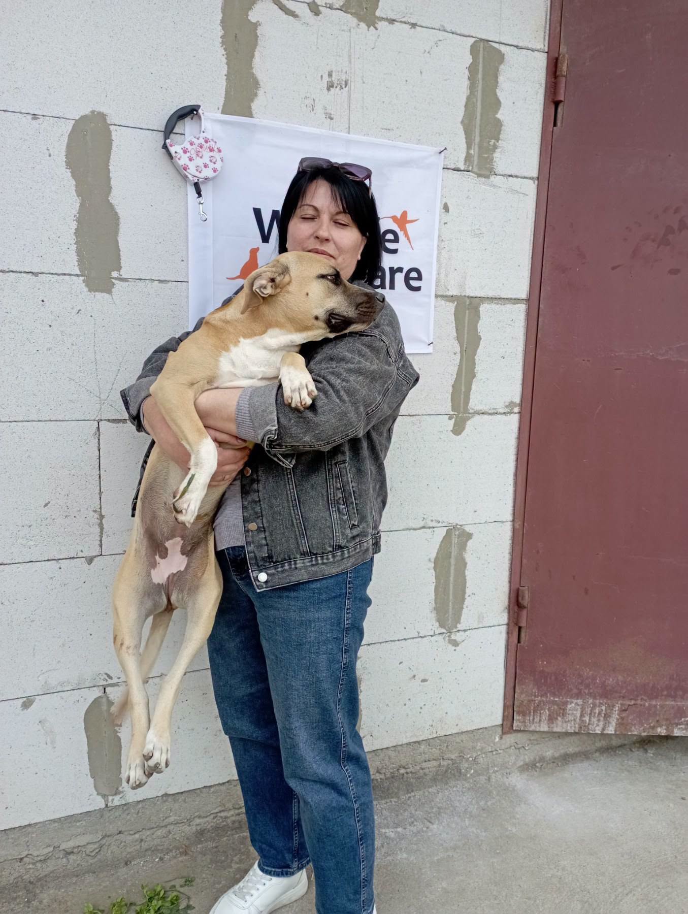 В Ізмаїлі простерилізували більше 170 безпритульних тварин за допомогою міжнародного фонду