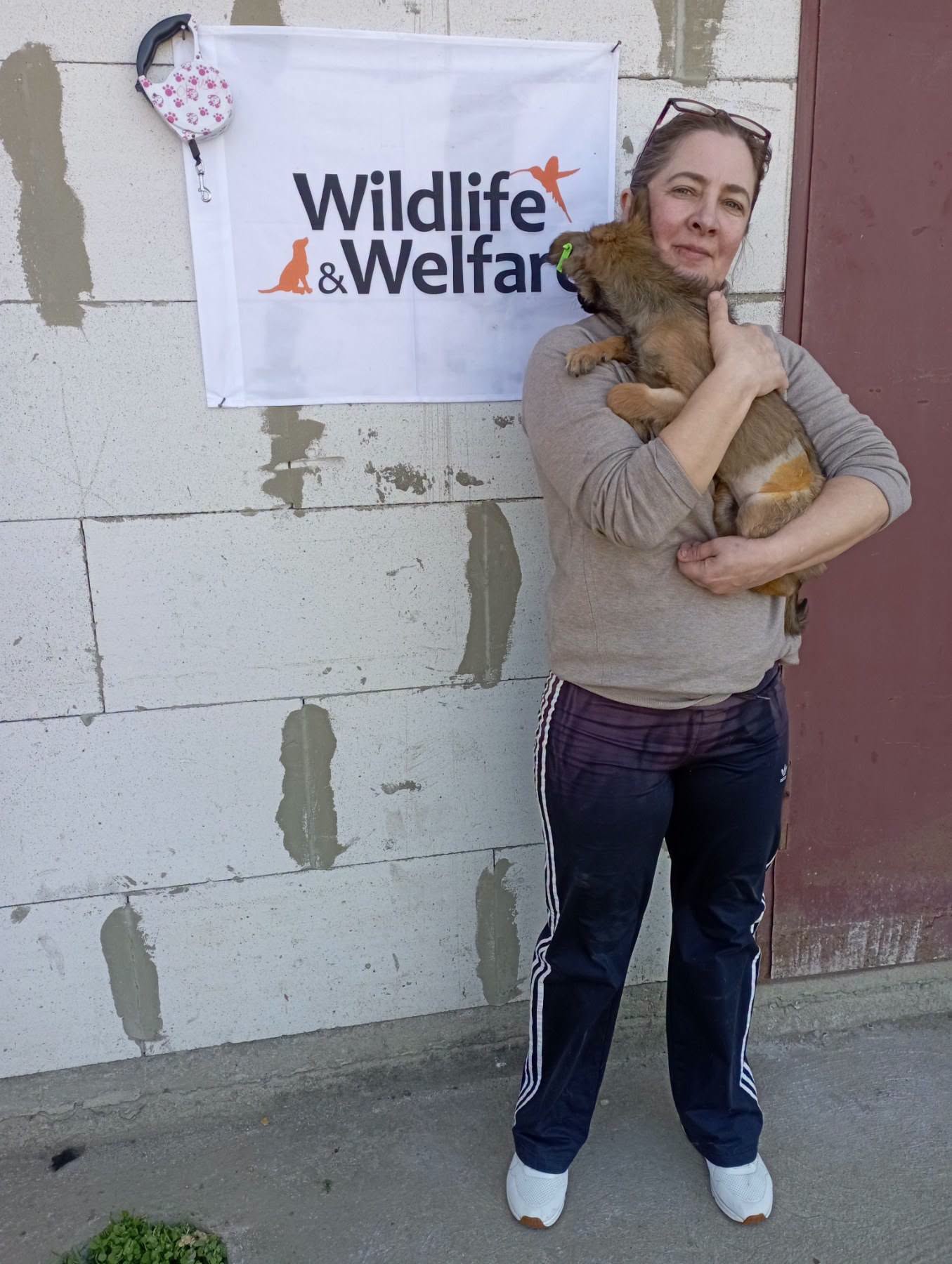 В Ізмаїлі простерилізували більше 170 безпритульних тварин за допомогою міжнародного фонду