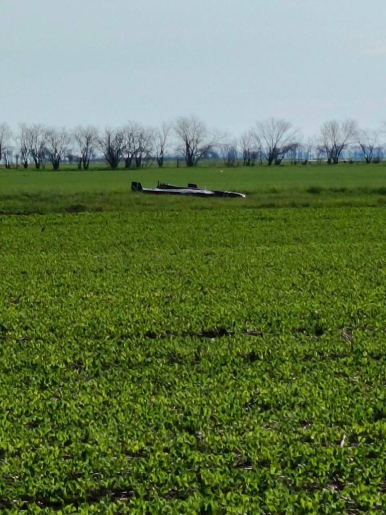 На Білгород-Дністровщині посеред поля впав "шахед"