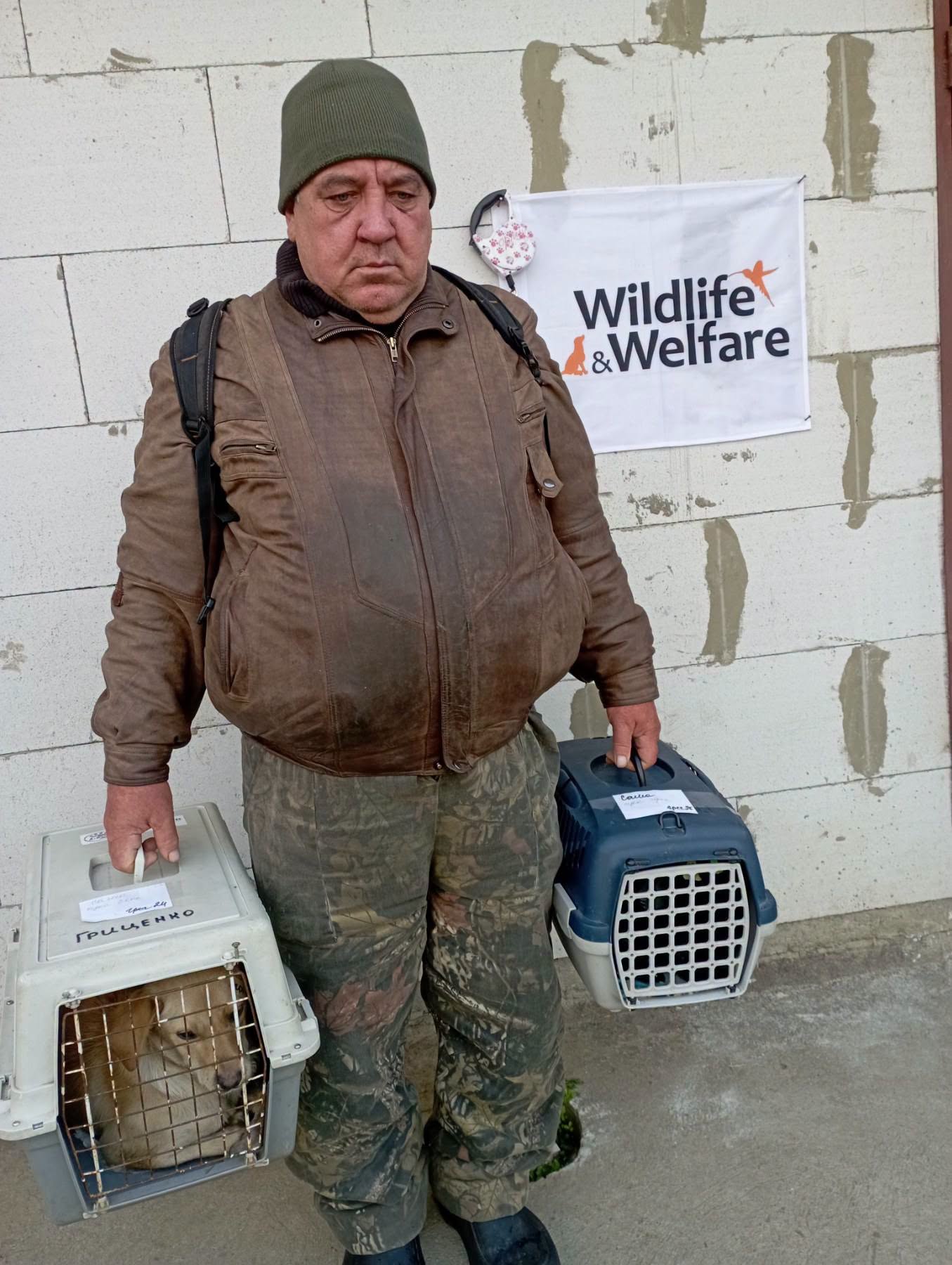 В Ізмаїлі простерилізували більше 170 безпритульних тварин за допомогою міжнародного фонду