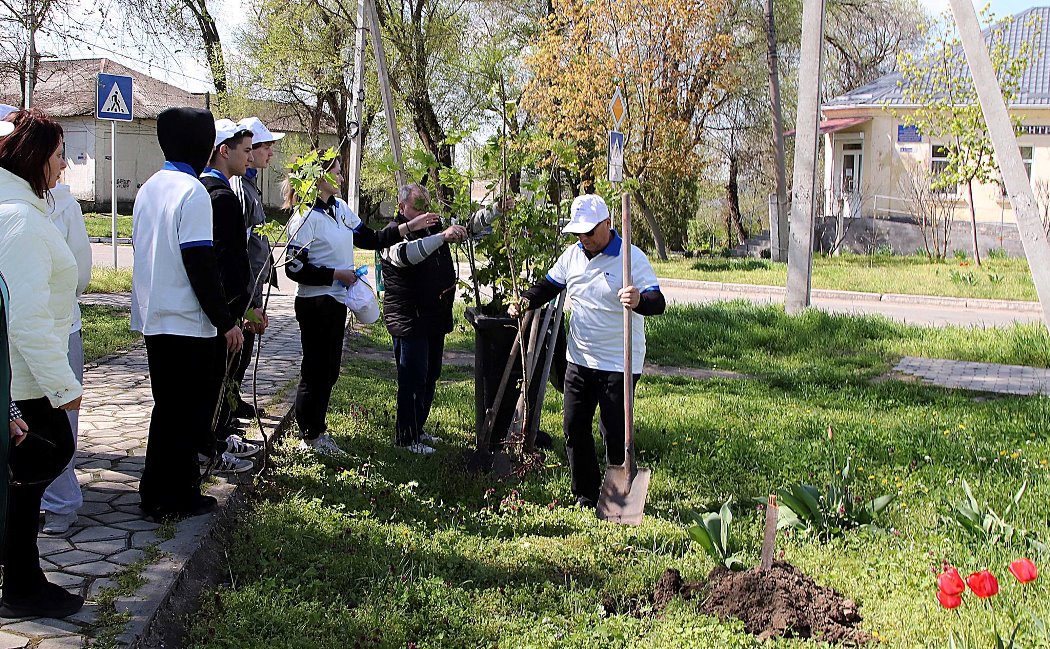 Іронія долі та пам’ять коріння: у Болграді висадили Алею вдячності там, де десять років тому не прижилася «політика»