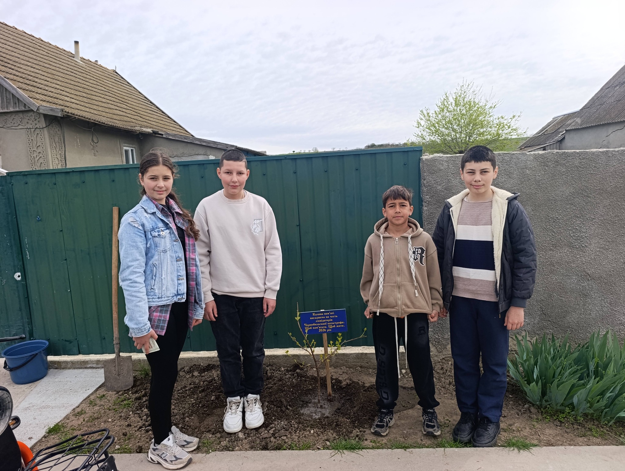 Жива пам'ять під вікном: у громаді Болградського району біля будинків ліквідаторів ЧАЕС висадили калину