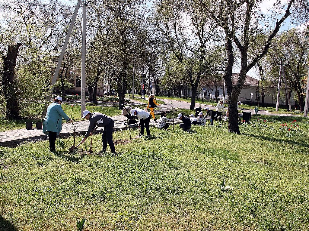 Іронія долі та пам’ять коріння: у Болграді висадили Алею вдячності там, де десять років тому не прижилася «політика»