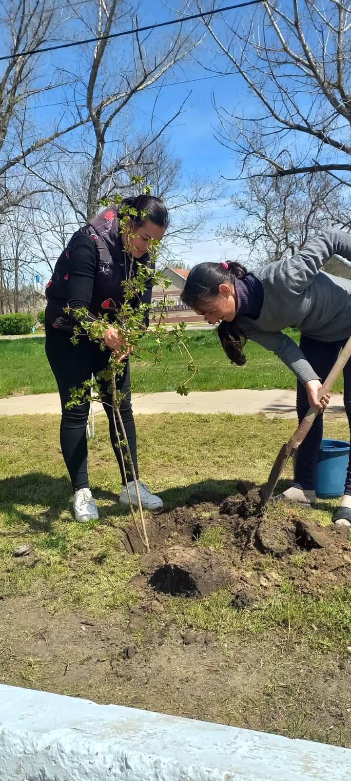 Жива пам'ять під вікном: у громаді Болградського району біля будинків ліквідаторів ЧАЕС висадили калину