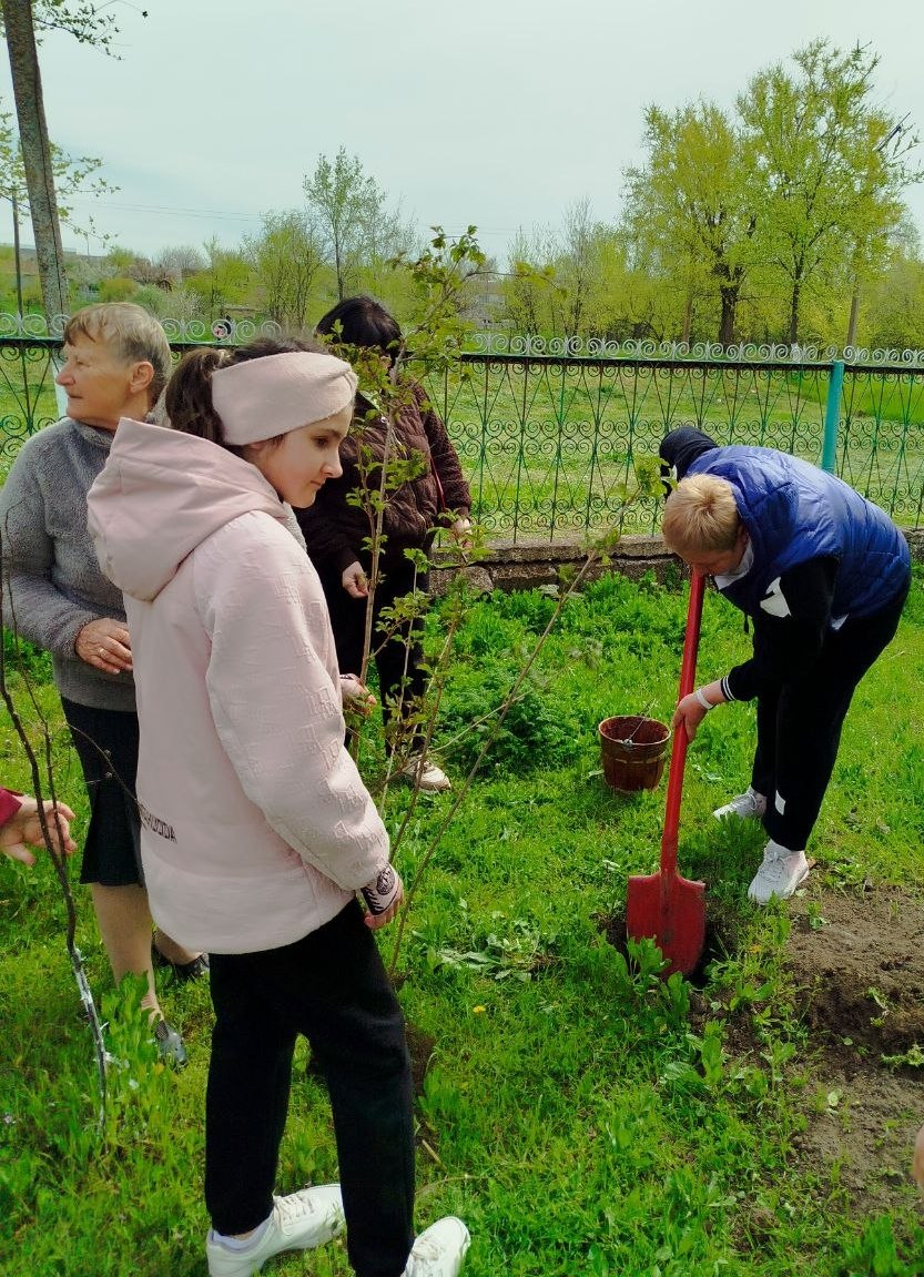 Жива пам'ять під вікном: у громаді Болградського району біля будинків ліквідаторів ЧАЕС висадили калину