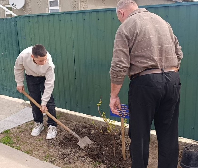 Жива пам'ять під вікном: у громаді Болградського району біля будинків ліквідаторів ЧАЕС висадили калину