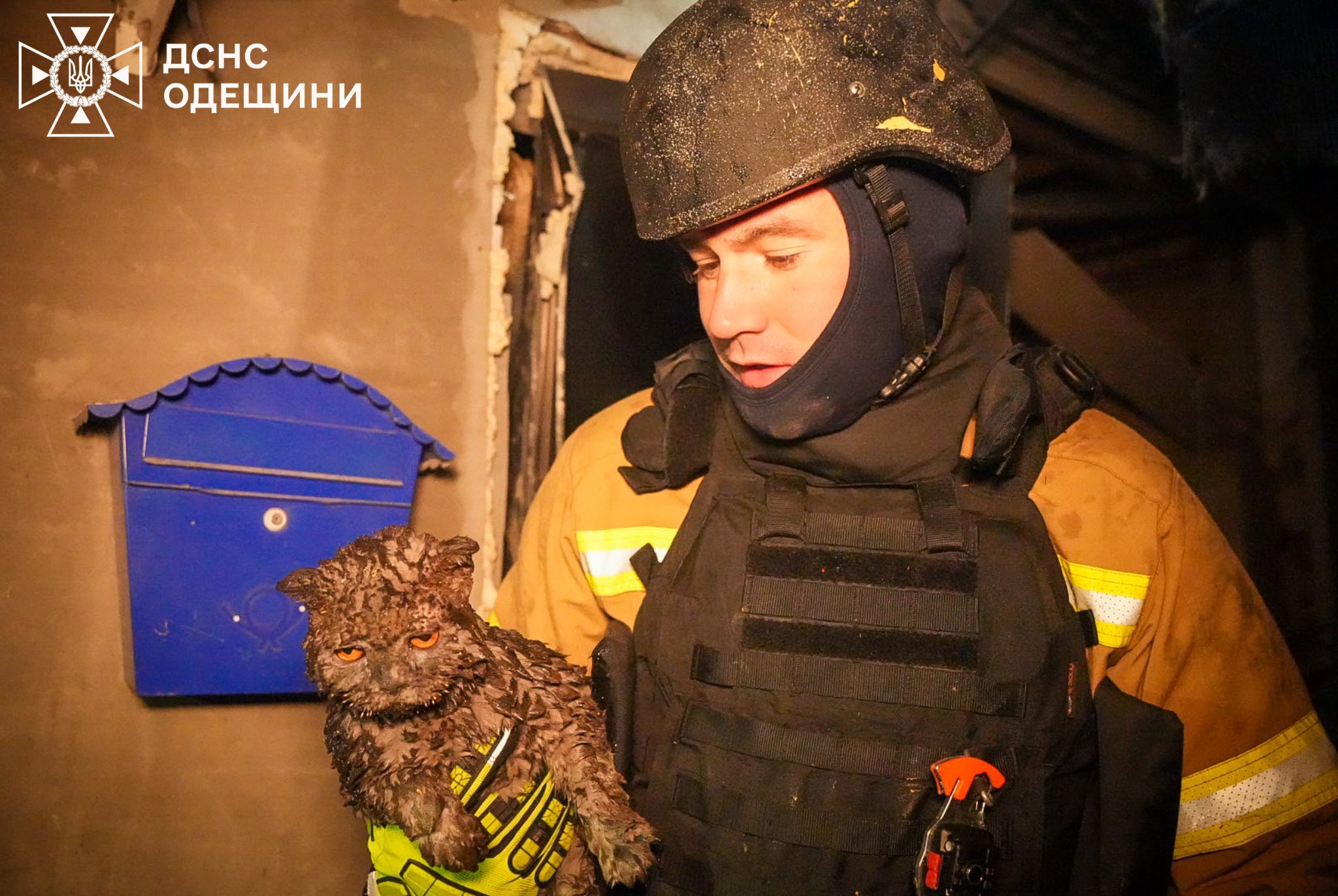 Масована атака ворога на Одесу: загинуло літнє подружжя, уражено іноземне судно