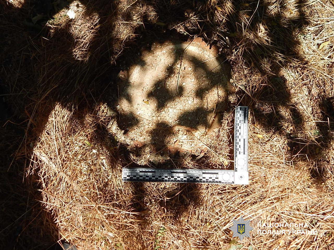 На лаву підсудних відправлено «чорних лісорубів» з Одещини, які завдали шкоди довкіллю на сотні тисяч гривень