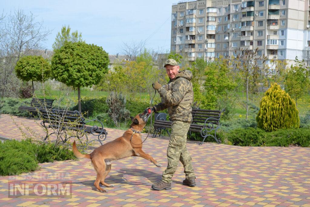 Вартові кордону: тандем кінолога Ізмаїльського прикордонного загону та службового собаки Нагіра