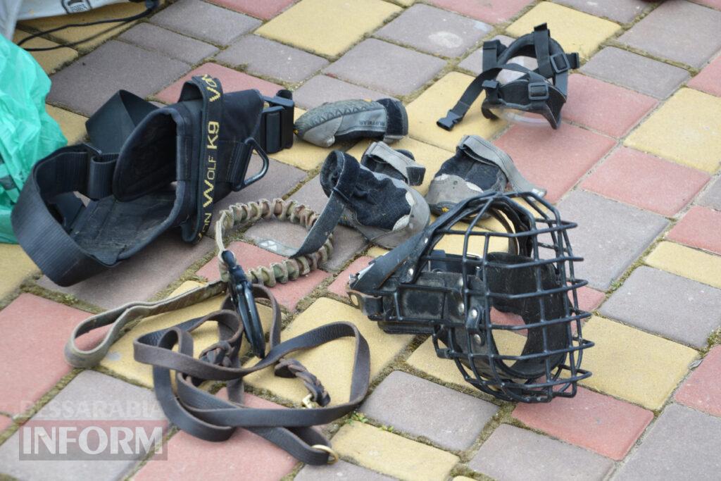 Вартові кордону: тандем кінолога Ізмаїльського прикордонного загону та службового собаки Нагіра