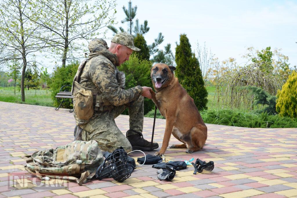 Вартові кордону: тандем кінолога Ізмаїльського прикордонного загону та службового собаки Нагіра