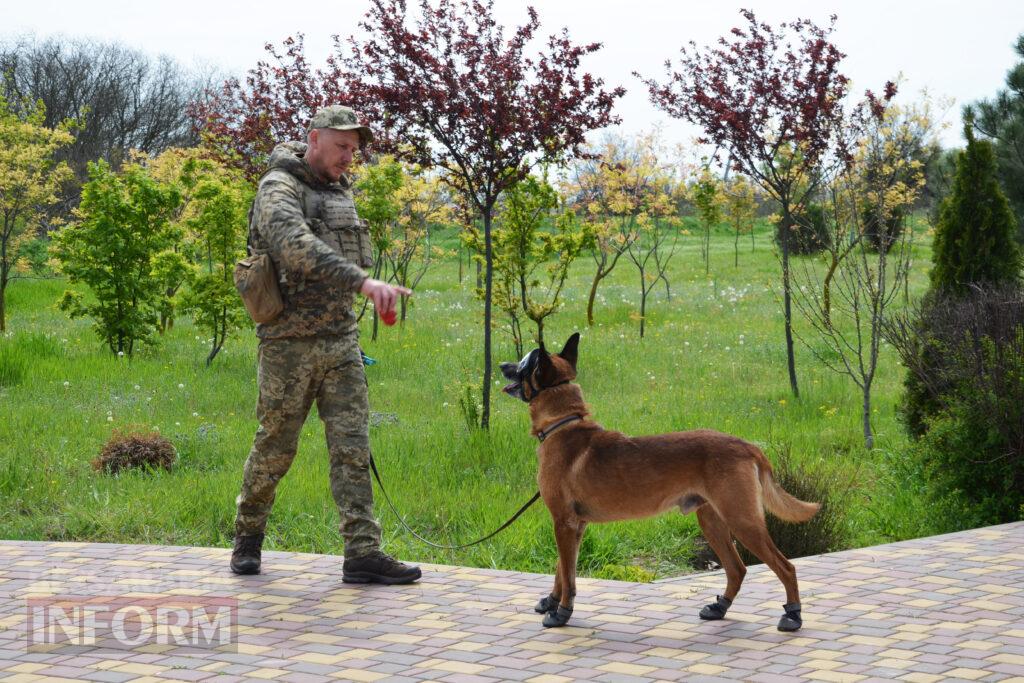 Вартові кордону: тандем кінолога Ізмаїльського прикордонного загону та службового собаки Нагіра