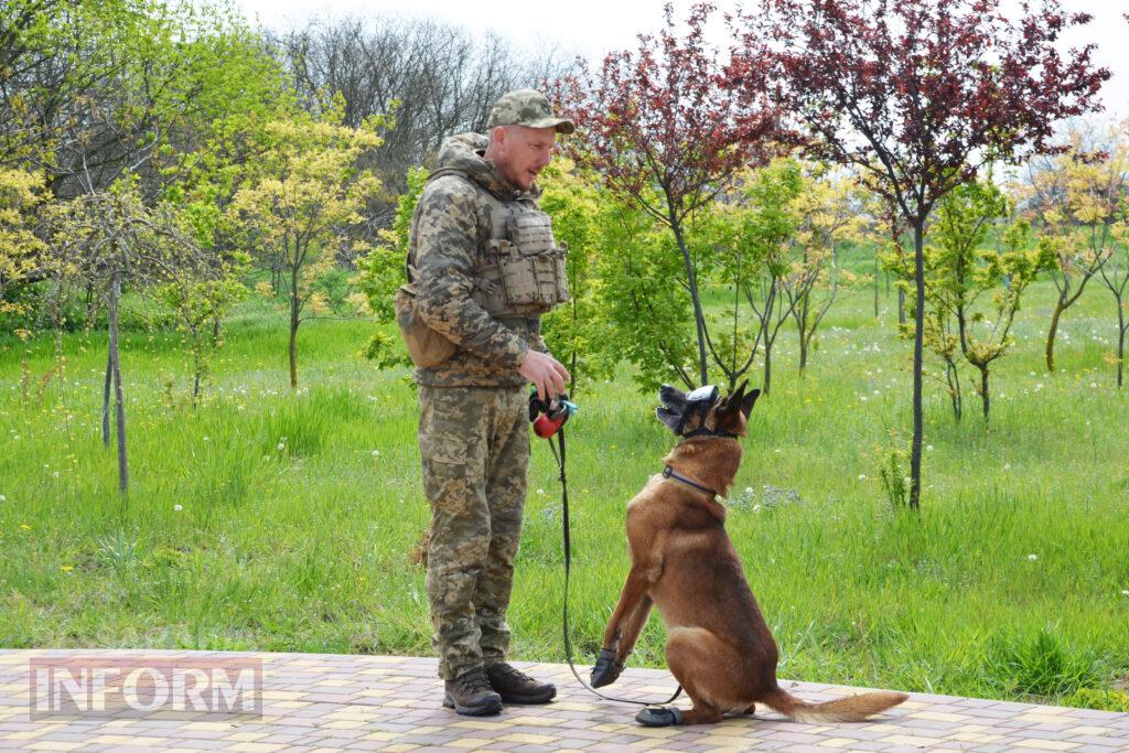 Вартові кордону: тандем кінолога Ізмаїльського прикордонного загону та службового собаки Нагіра