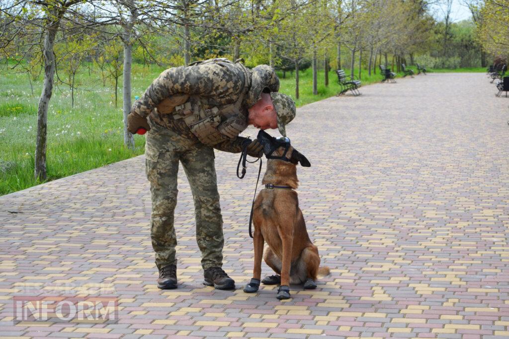 Вартові кордону: тандем кінолога Ізмаїльського прикордонного загону та службового собаки Нагіра