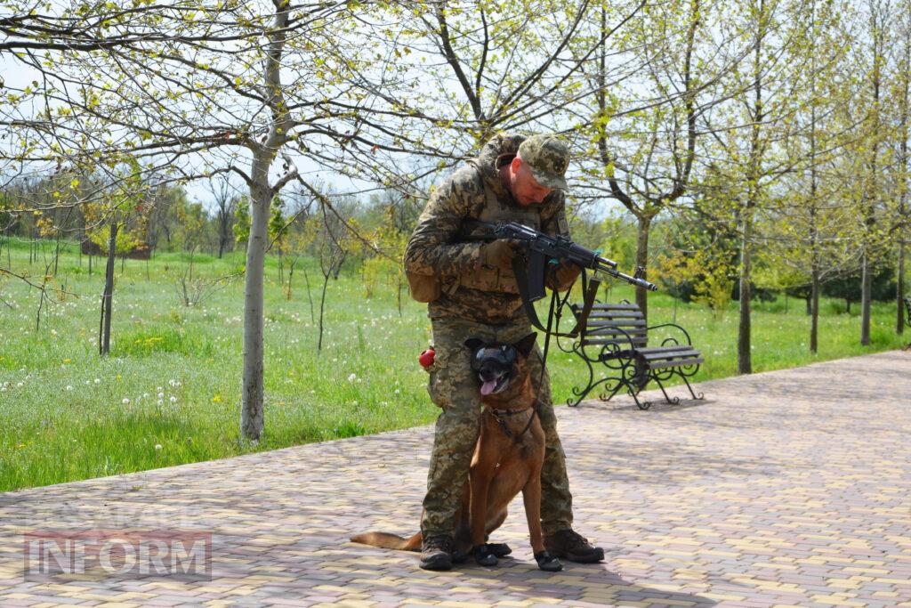 Вартові кордону: тандем кінолога Ізмаїльського прикордонного загону та службового собаки Нагіра