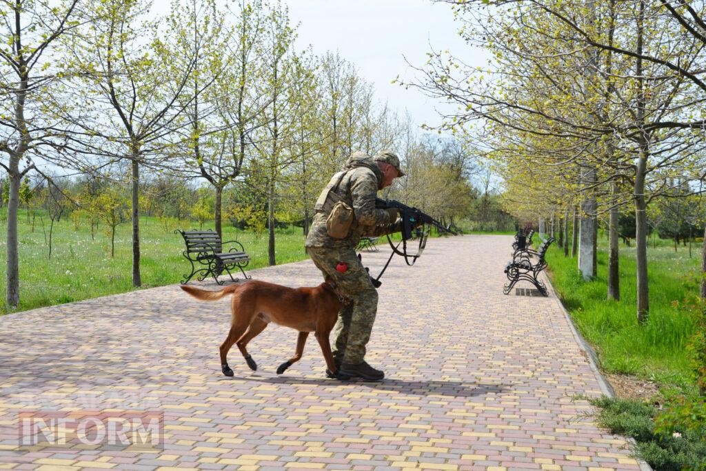 Вартові кордону: тандем кінолога Ізмаїльського прикордонного загону та службового собаки Нагіра