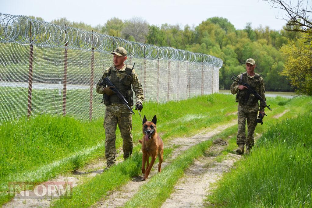 Вартові кордону: тандем кінолога Ізмаїльського прикордонного загону та службового собаки Нагіра