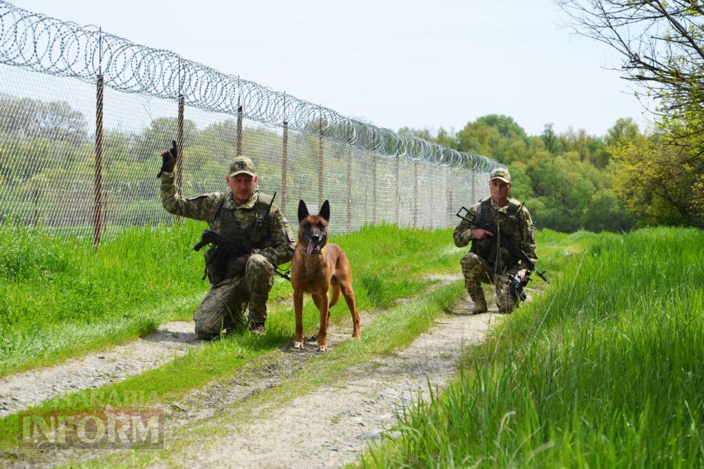 Вартові кордону: тандем кінолога Ізмаїльського прикордонного загону та службового собаки Нагіра