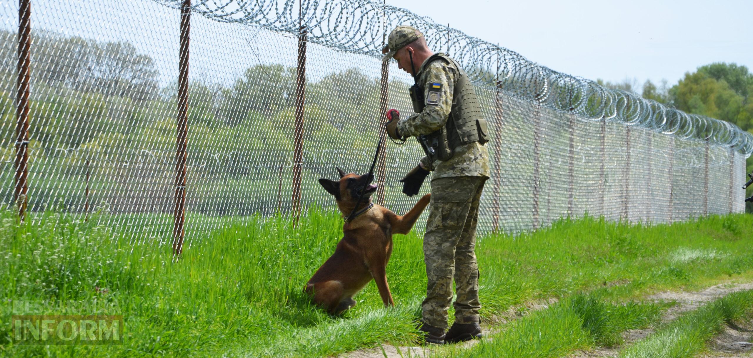 Вартові кордону: тандем кінолога Ізмаїльського прикордонного загону та службового собаки Нагіра