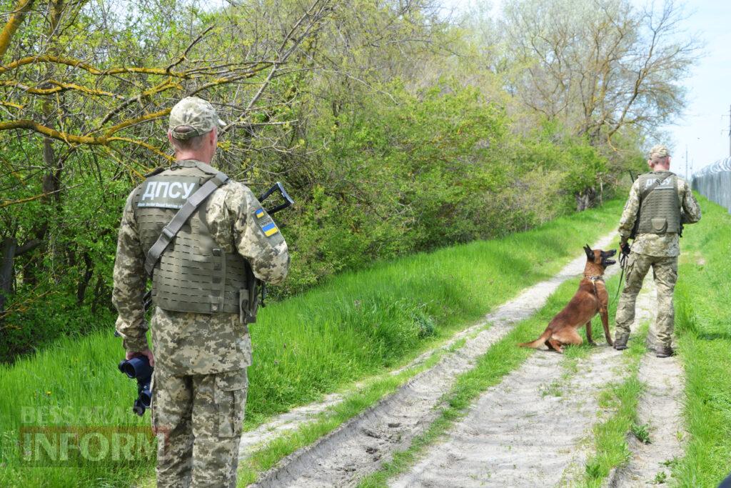 Вартові кордону: тандем кінолога Ізмаїльського прикордонного загону та службового собаки Нагіра