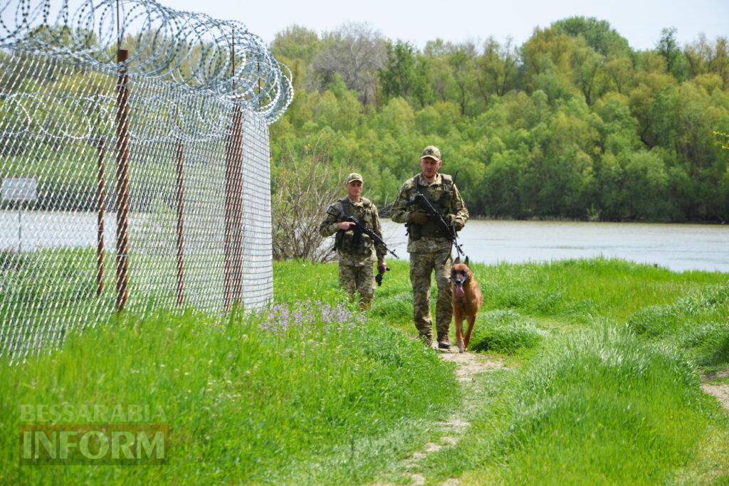 Вартові кордону: тандем кінолога Ізмаїльського прикордонного загону та службового собаки Нагіра