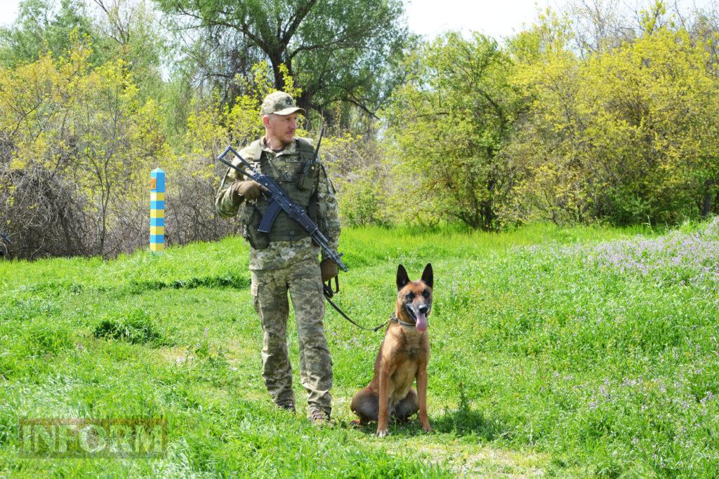 Вартові кордону: тандем кінолога Ізмаїльського прикордонного загону та службового собаки Нагіра