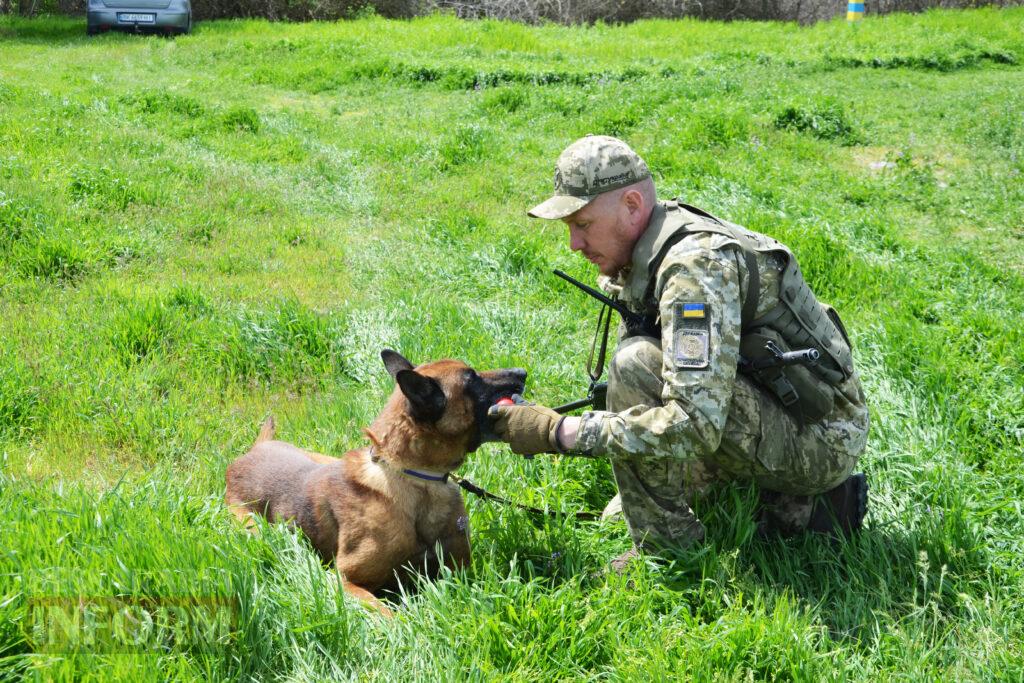Вартові кордону: тандем кінолога Ізмаїльського прикордонного загону та службового собаки Нагіра