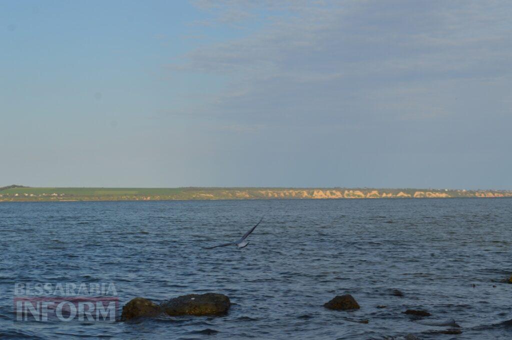 Заквітчаний Аккерман у вечірніх променях
