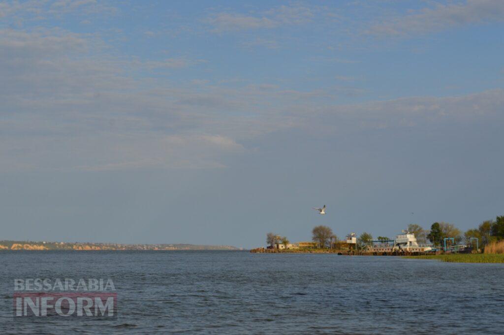 Заквітчаний Аккерман у вечірніх променях