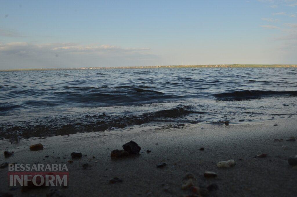Заквітчаний Аккерман у вечірніх променях