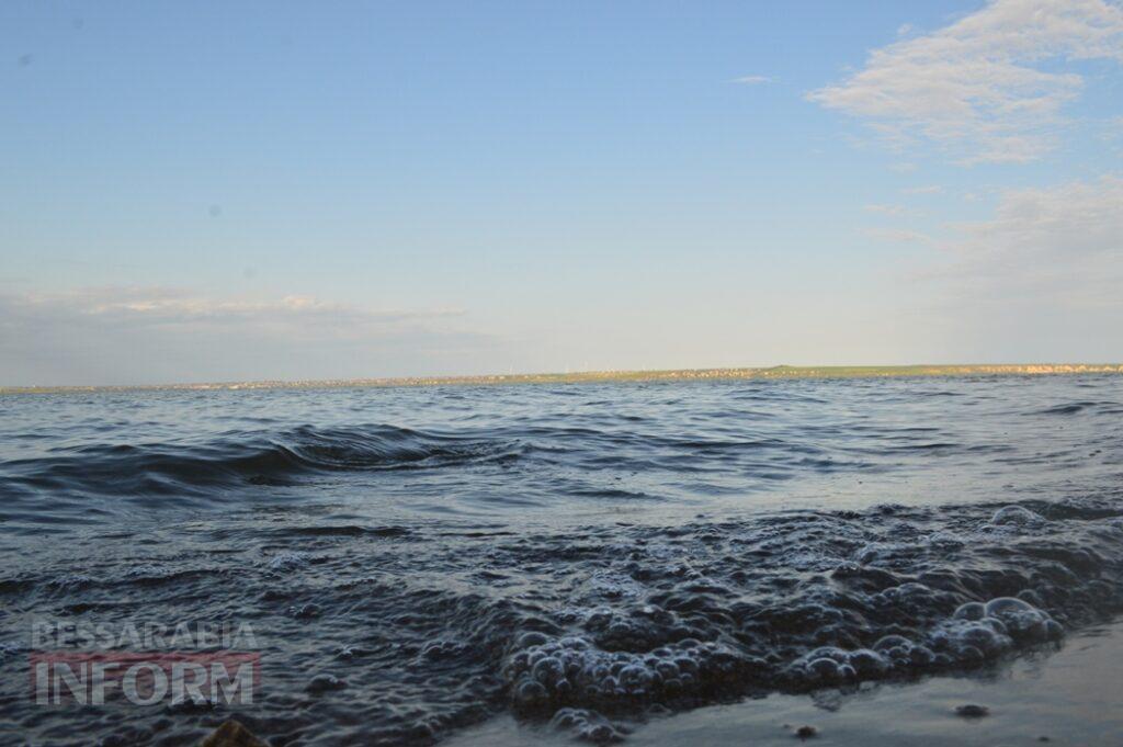 Заквітчаний Аккерман у вечірніх променях