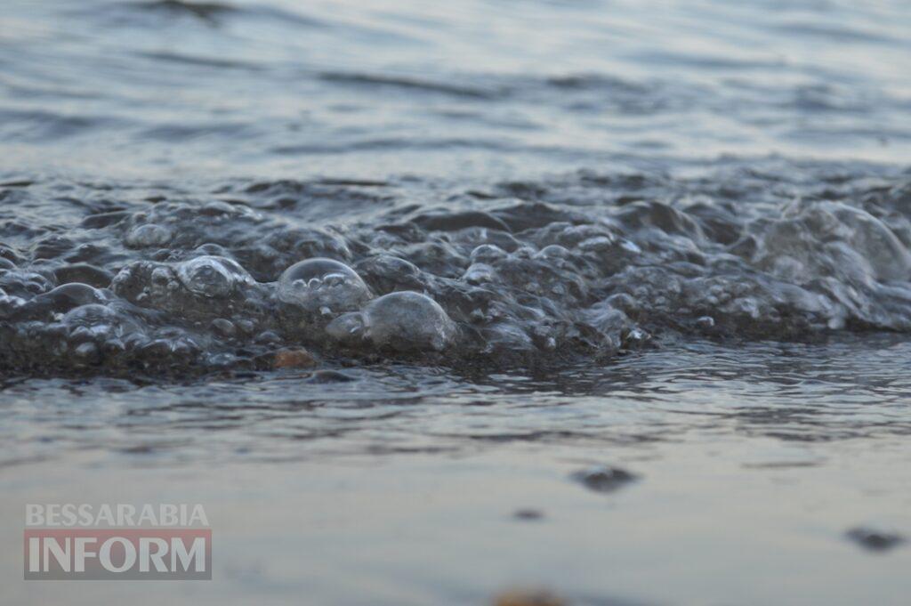 Заквітчаний Аккерман у вечірніх променях