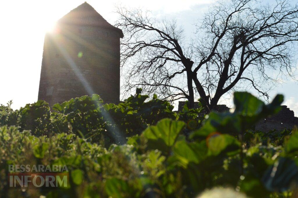 Заквітчаний Аккерман у вечірніх променях