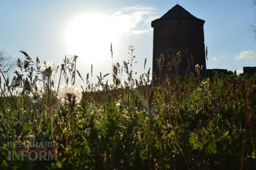 Заквітчаний Аккерман у вечірніх променях