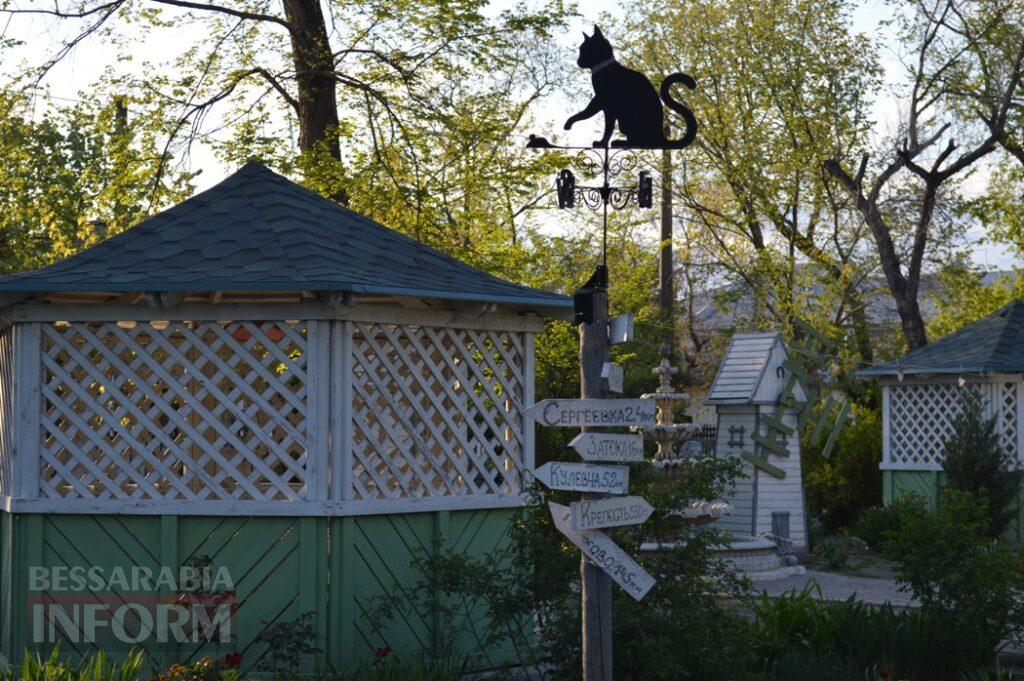 Заквітчаний Аккерман у вечірніх променях