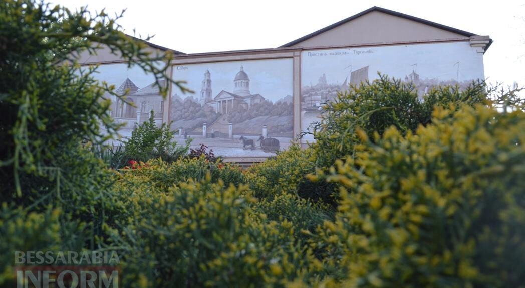 Заквітчаний Аккерман у вечірніх променях