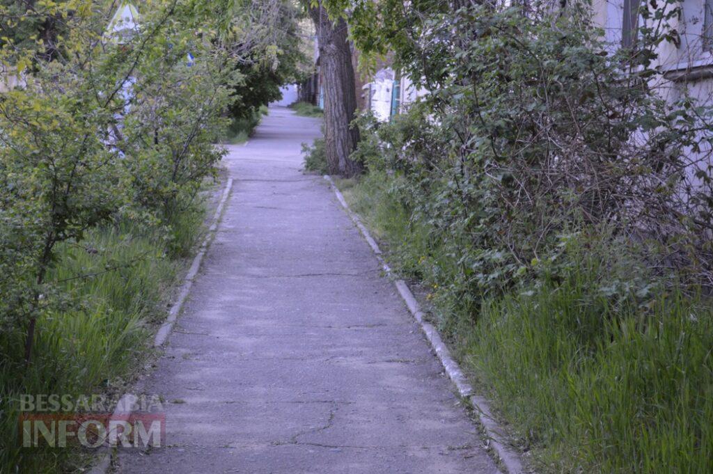 Заквітчаний Аккерман у вечірніх променях