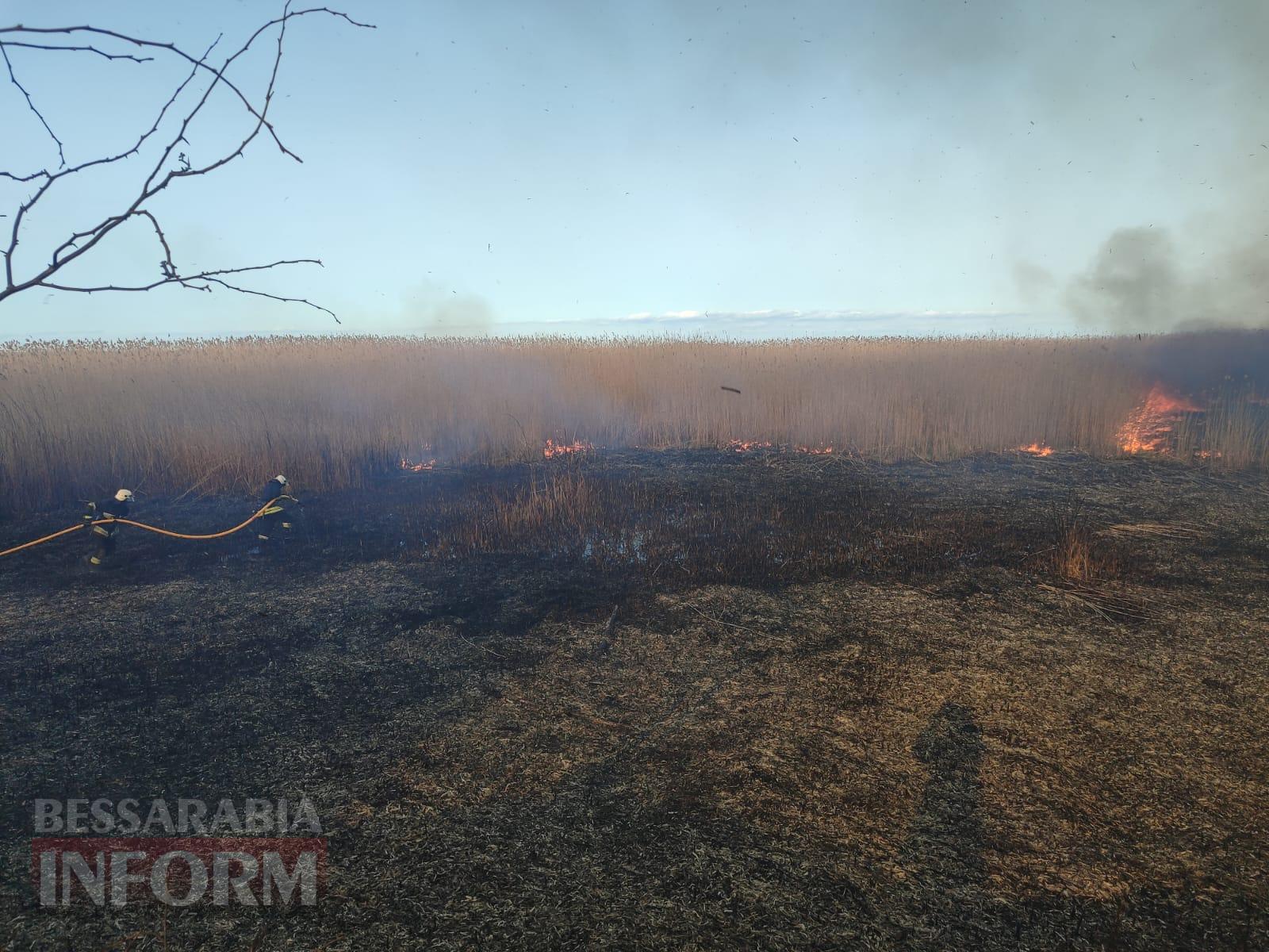 У Рені масштабно палав очерет: пожежу вдалося загасити тільки вранці