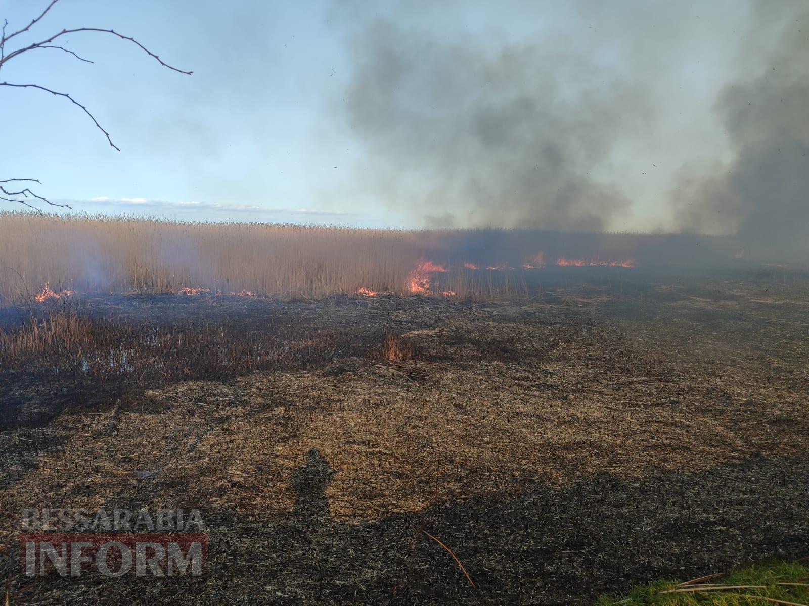 У Рені масштабно палав очерет: пожежу вдалося загасити тільки вранці