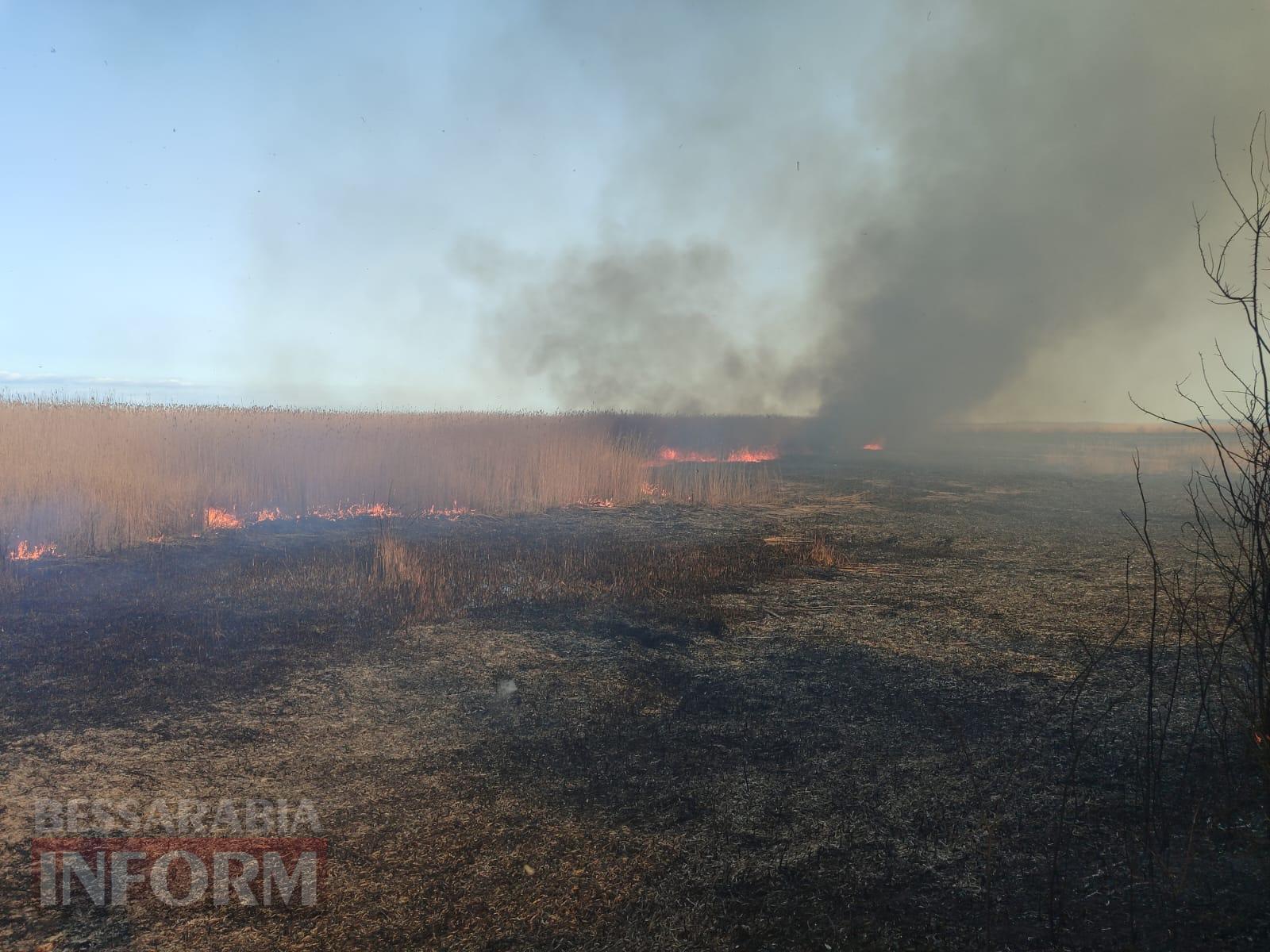 У Рені масштабно палав очерет: пожежу вдалося загасити тільки вранці