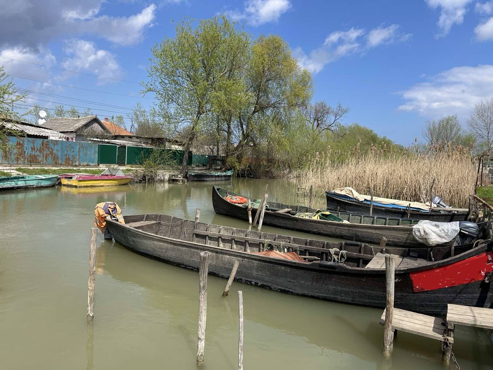 На Дунаї в цьому році зайнялися промисловим виловом річкової креветки