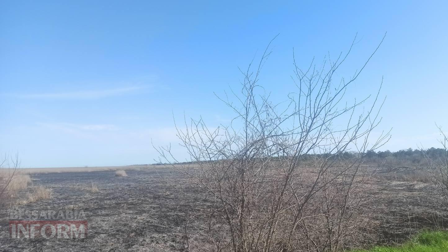 Через російський безпілотник загорілися плавні в Дунайському заповіднику