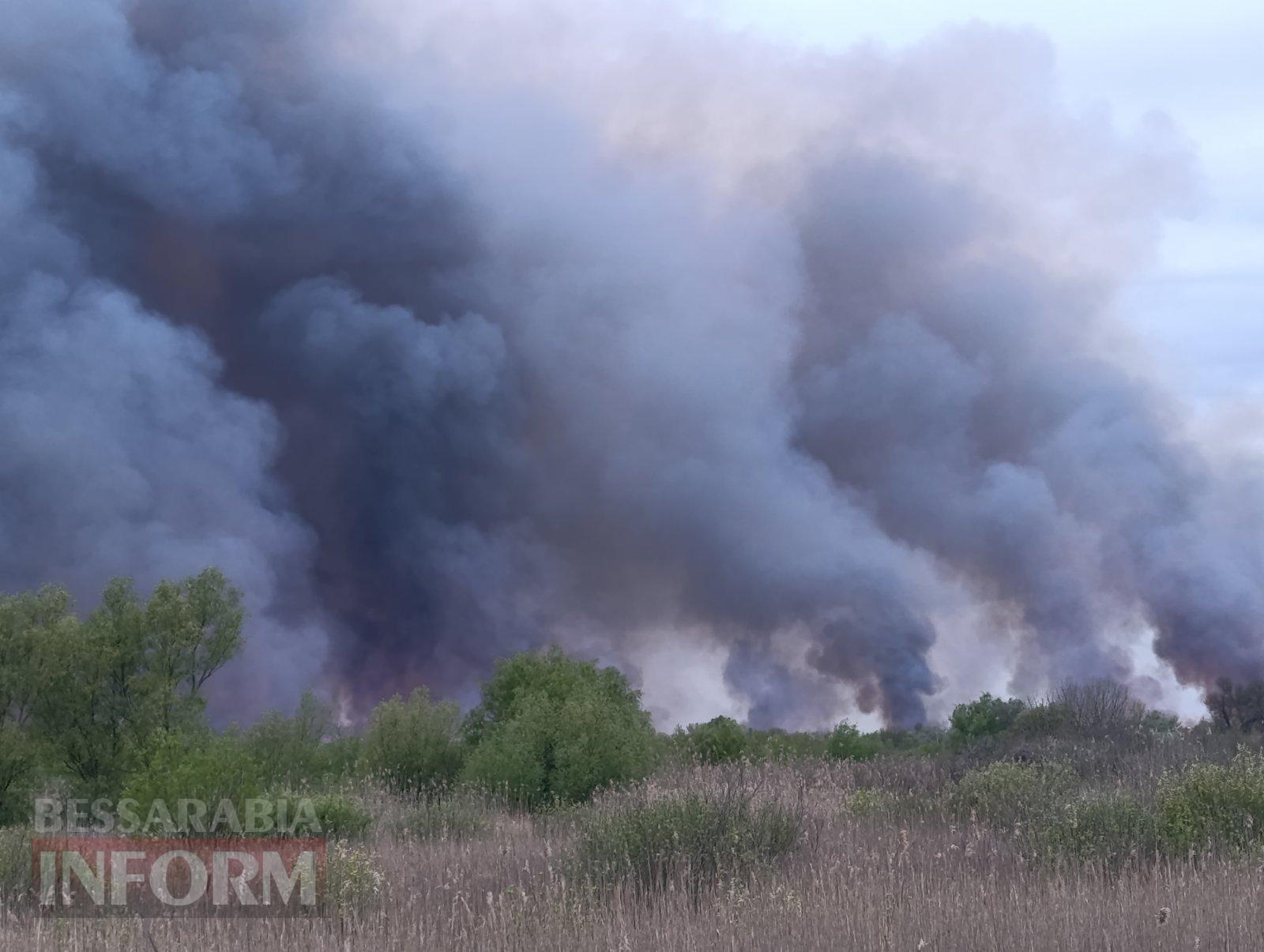 На Ізмаїльщині через атаку дронів горить заповідний острів Єрмаків
