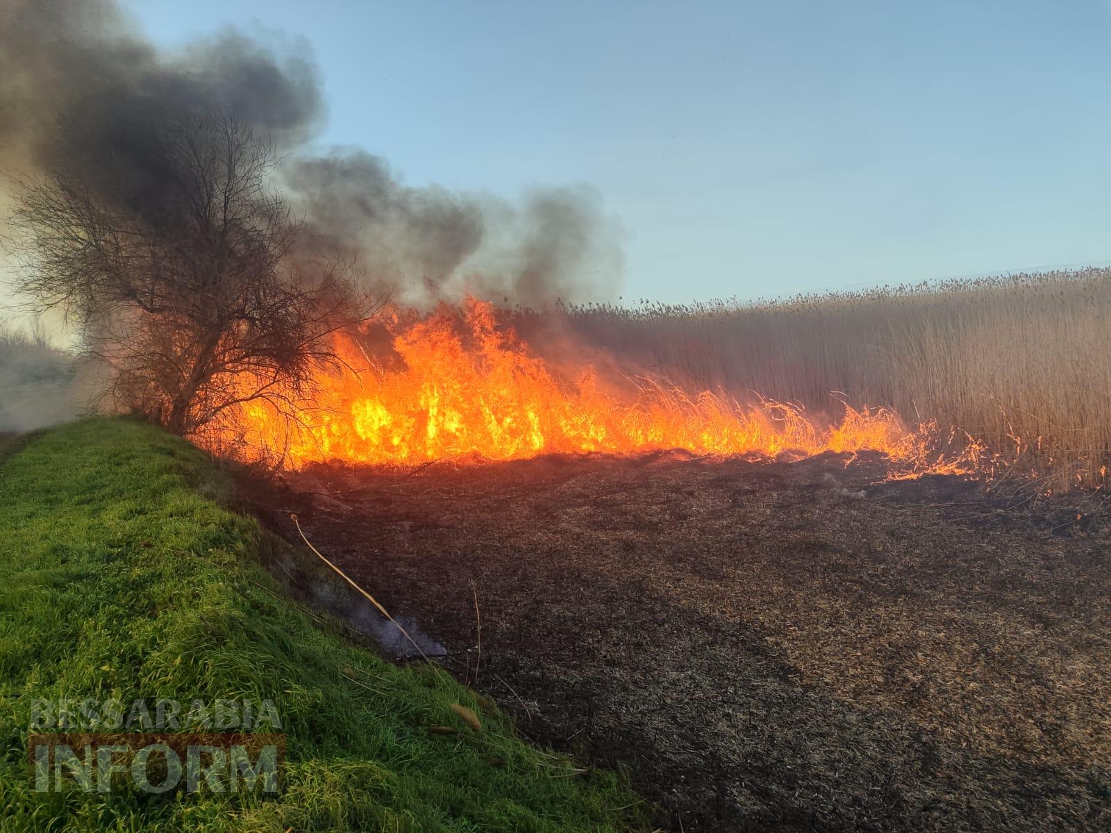 У Рені масштабно палав очерет: пожежу вдалося загасити тільки вранці