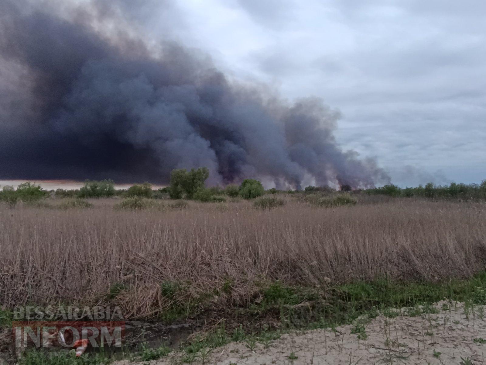 На Ізмаїльщині через атаку дронів горить заповідний острів Єрмаків