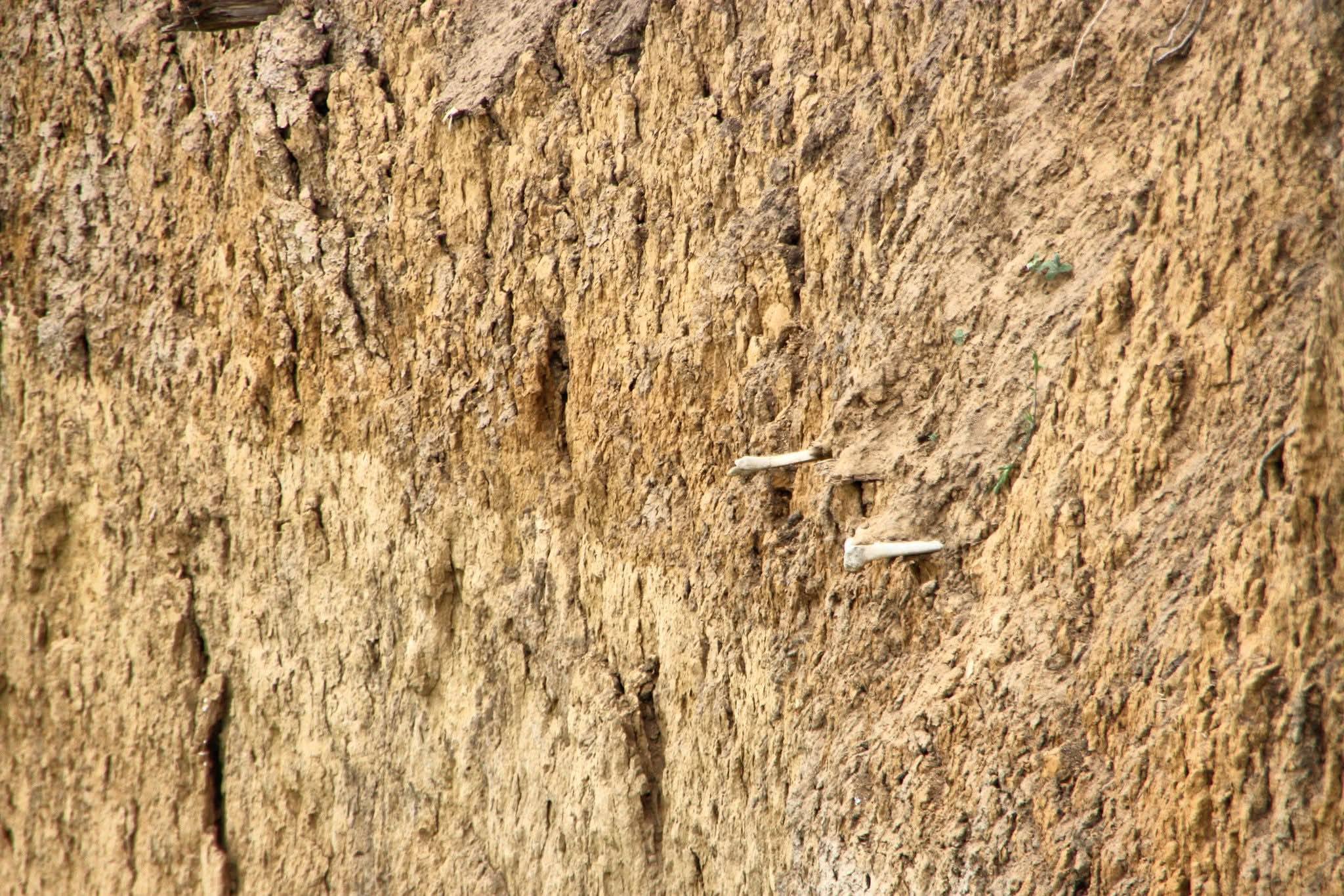 Цвинтар буджацьких козаків на півдні Одещини, який забирає озеро Сасик, намагатимуться врятувати