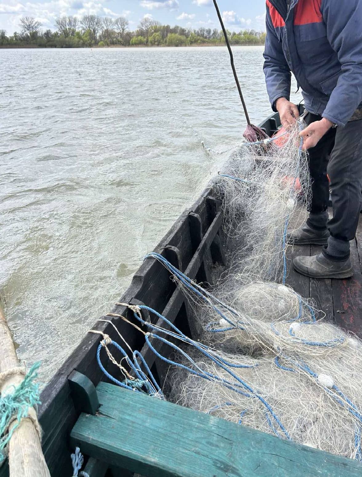 На Дунаї в цьому році зайнялися промисловим виловом річкової креветки